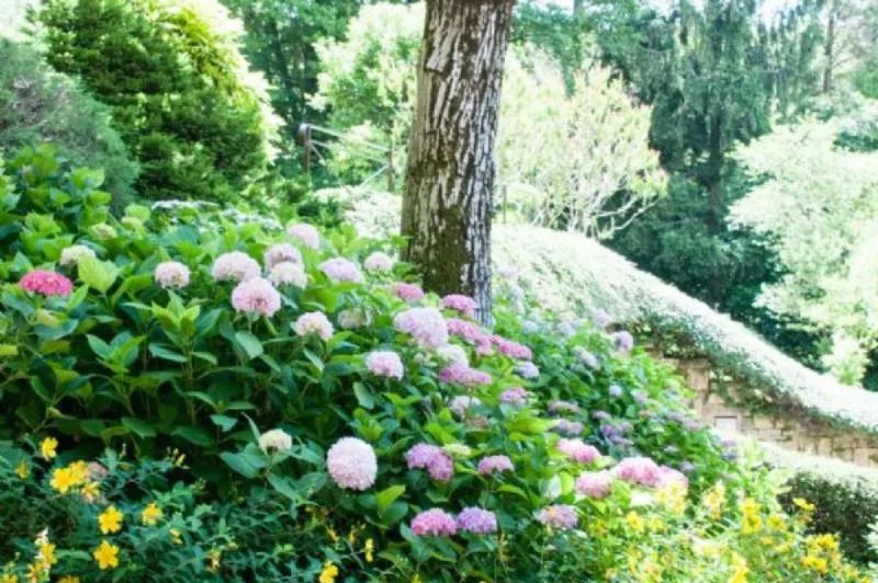 Casale in Vendita a Ponteranica Maresana
