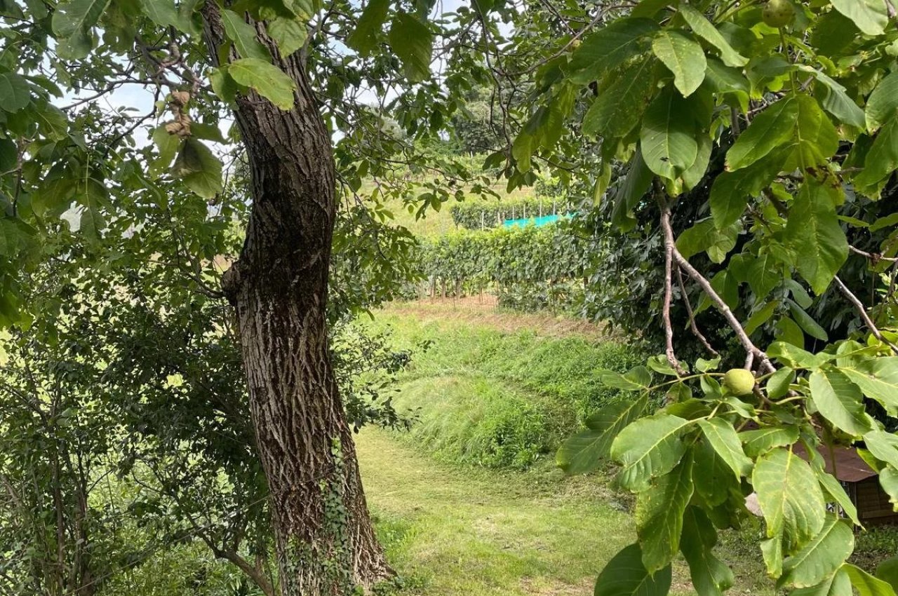 Cascina in Vendita a Nembro Cascina Storica - Un Tesoro da Scoprire!