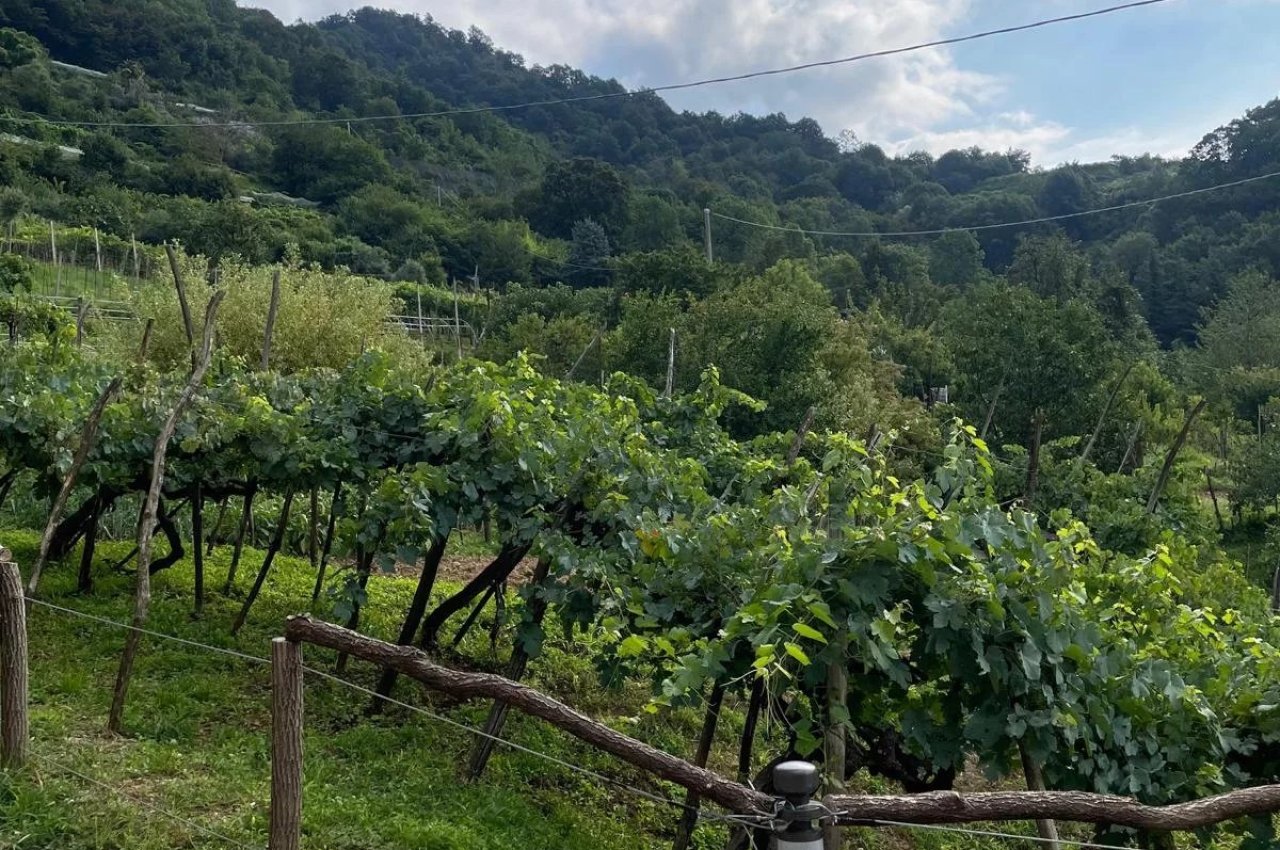 Cascina in Vendita a Nembro Cascina Storica - Un Tesoro da Scoprire!