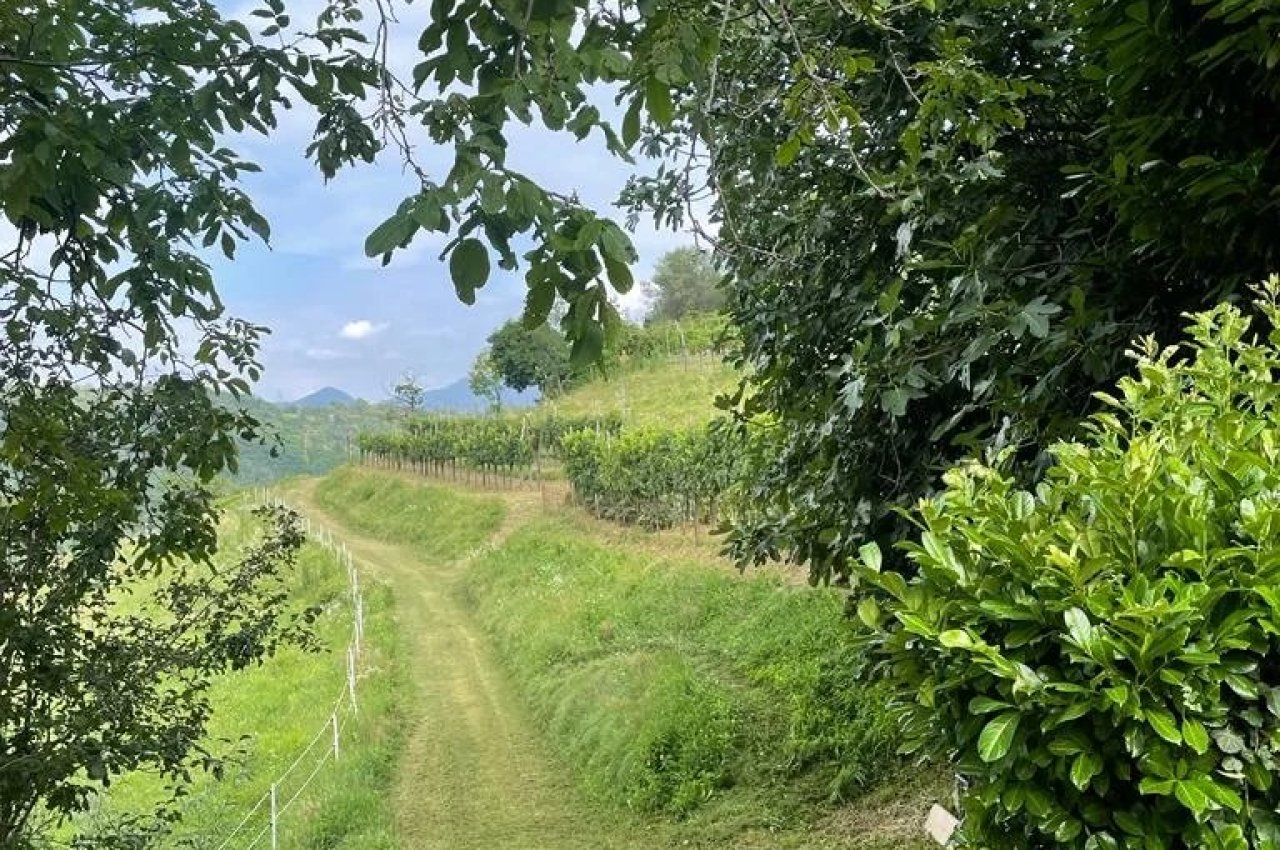 Cascina in Vendita a Nembro Cascina Storica - Un Tesoro da Scoprire!